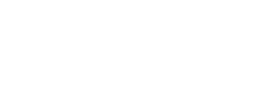 Bundesliga